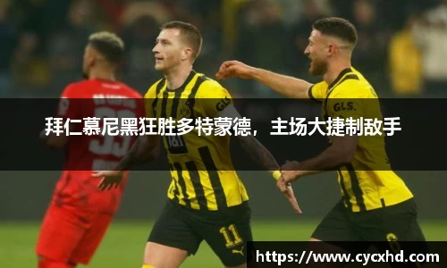 yy易游