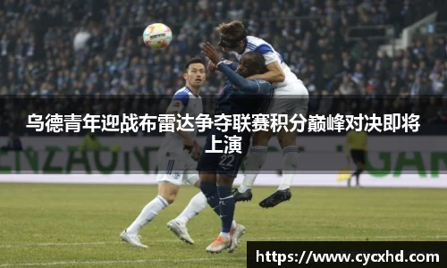 yy易游