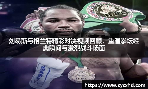 刘易斯与格兰特精彩对决视频回顾，重温拳坛经典瞬间与激烈战斗场面